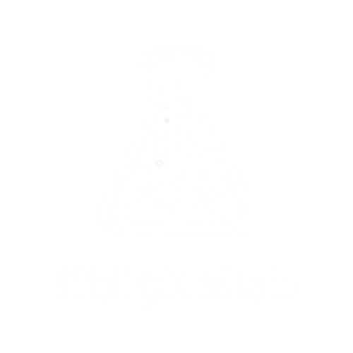 FF Digital Lab Logo
