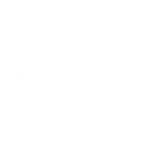 FF Digital Lab Logo